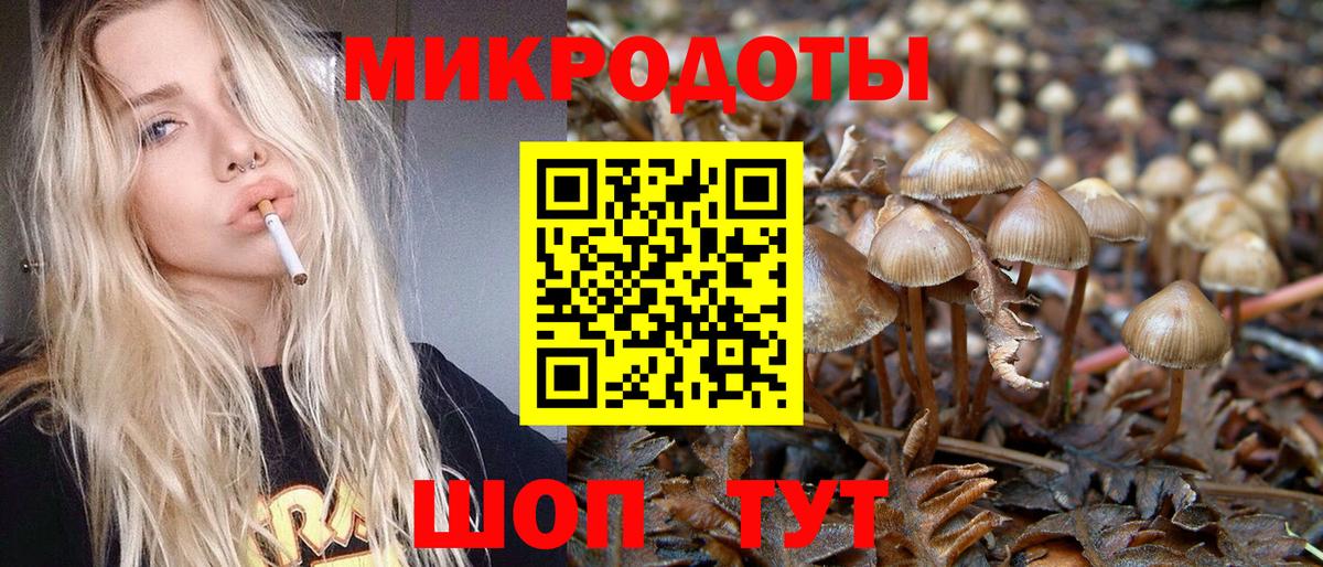 Галлюциногенные грибы Magic Shrooms  Псилоцибиновые грибы MAGIC MUSHROOMS  Вход с VPN  Камышлов 