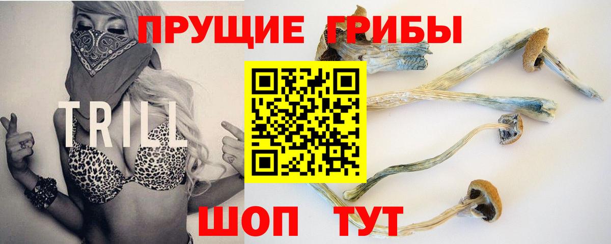 Галлюциногенные грибы Cubensis Камышлов